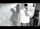 17-Parazitii-clip-vr