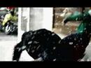 17-Parazitii-clip-vr