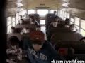 BusBump