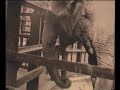 Een middag in Artis (1941)