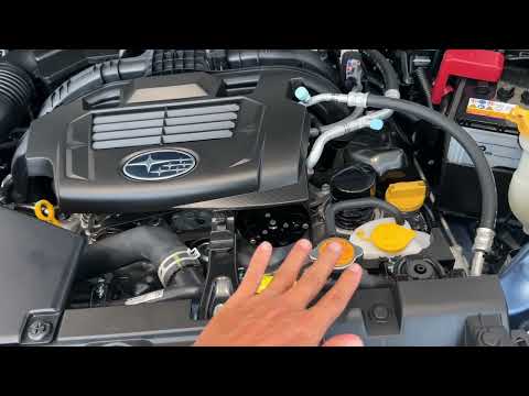 KIỂM TRA NƯỚC, DUNG DỊCH CÁC NẮP MÀU VÀNG BÊN TRONG KHOANG ĐỘNG CƠ SUBARU| QUANGCAR