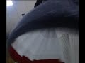 Caninha Verde