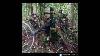 Khmer News - Thai bandits invaded Cambodian territory and burned down many ancient Cambodian temples.