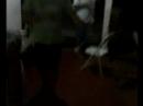 Aprendendo-a-dancar-