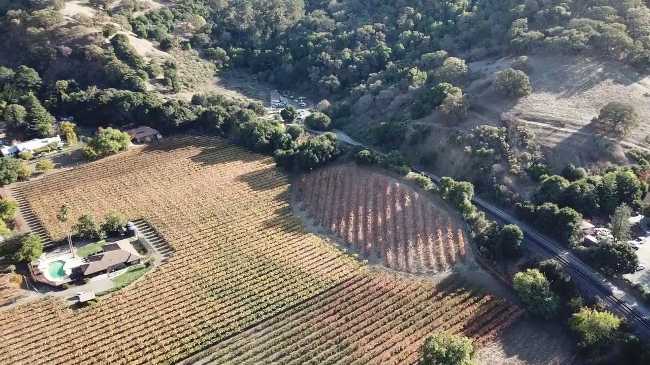 Vineyard for Sale in Napa Valley California