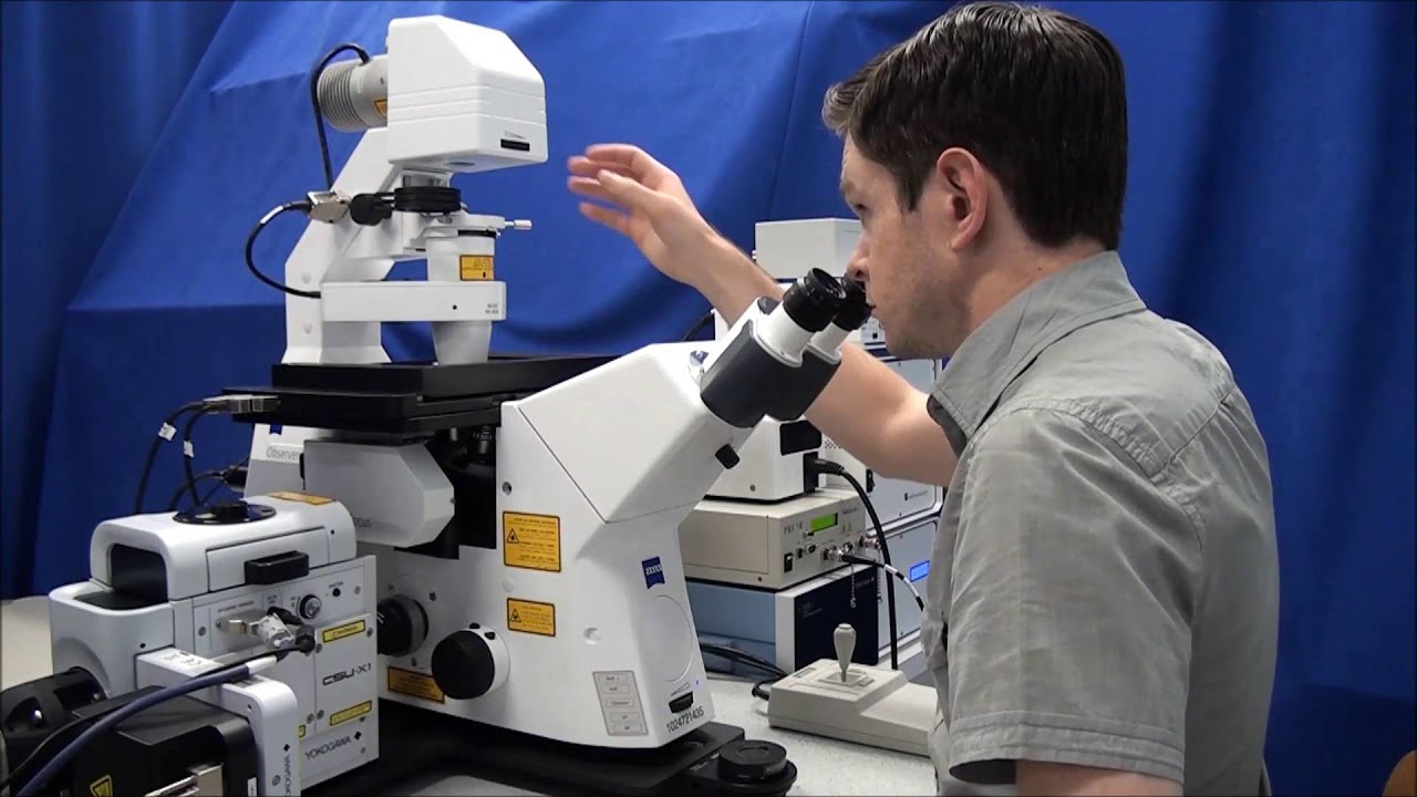 ZEISS Microscopy How-to: Set up Köhler Illumination on your ZEISS Axio Observer