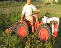 Pasquali Tractor