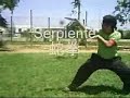 Kung fu stuff presents: Pancho vs Mr. invisible