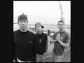 blink 182 mutt orginal   
