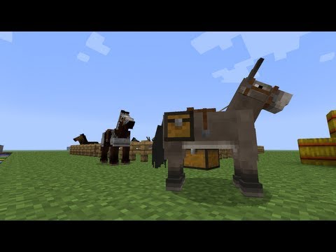 how to to tame a horse in minecraft