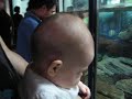 Audrey at the Como Zoo
