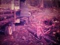LOG LOADER IN ACTION, AMERICAN 5675, 1978