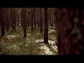 Flickan i jordk�llaren