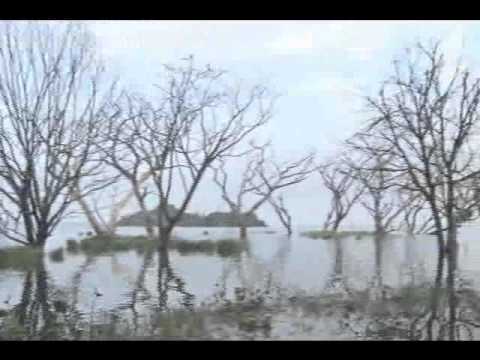 Lago Los Tacariguas - El Lago de Valencia y el Parque Nacional Henry Pittier, son los iconos geográficos de Maracay. El incumplimiento de las obras previstas para su conservación,...