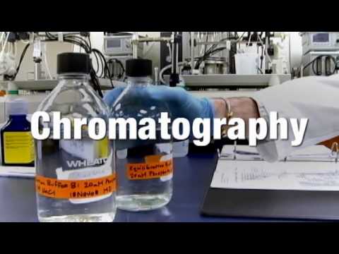 Biotech: The First Step in Drug Development