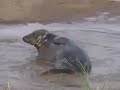 donna nook.mov donna nook.mov
