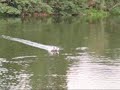 Hydro-Foam