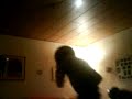 boxerei boxerei