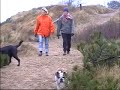 Hanne  Cleo go for a walk with Dorte  Gustav