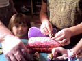 littlest-pet-shop-visit-with-friends.html