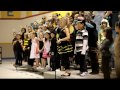 Click here to watch this video Honey Bee Role