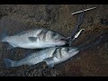 EL ARTE DE LA PESCA DEL R�BALO