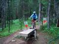 Girl Face Plants On Mountain Bike