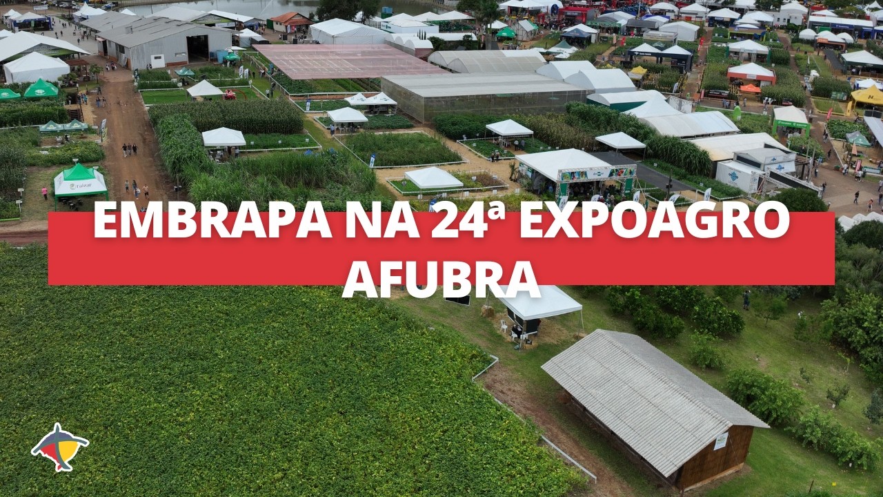 Embrapa apresenta tecnologias na 24ª Expoagro Afubra em Rio Pardo/RS | Terra Sul