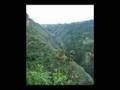 Karajia - www.perubonito.com.pe
