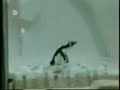 Funny Animmals حيوانات تستهبل