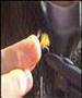 CDC Emerger...
