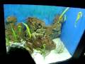 engel ocean park adventure engel ocean park adventure