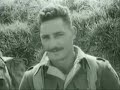 jewish-brigade.html