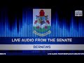Live Audio: Bermuda Senate in Session