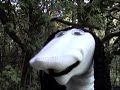 bloopers