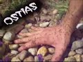 Mountainboard Villanueva de la Ca�ada