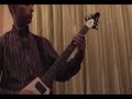joe satriani - starry night