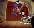 Animaniacs - cartoon individual (german version)