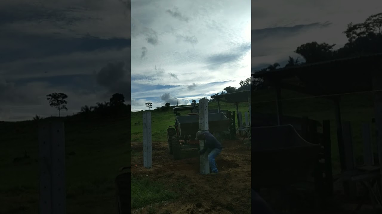 colocando toco no curral