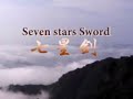 WUDANGKUNGFU | Wudang Seven Star Sword