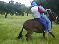 Camino de fuente de cantos Aventureros jinetes(colero y gato