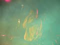Zbyn?k Drda - V�m, ?e bude? mou