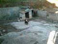 uiske pintado aki no barraco