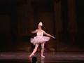 videos de Manassas Ballet Theatre