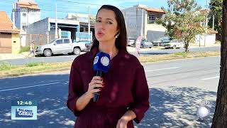 Plantação em Votorantim: mais de 260 pés de maconha apreendidos