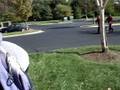 videos de crossland fights....sike they playin