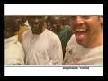 Bigmouth Travel - Northern Nigeria Cattle Market