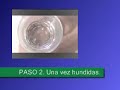 Germinación Germinación