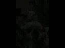 L\