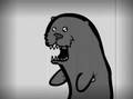 The Sea Otter Ecosystem